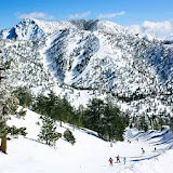 Mt. Baldy Resort